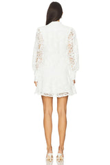 Remy Embroidered Mini Dress